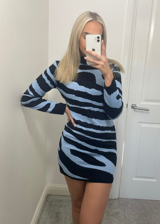 Danielle Zebra Jumper Dress